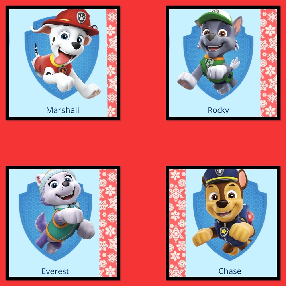 🐾New🐾Paw Patrol Action Figures 12 piece set🐾 - Picture 5 of 8